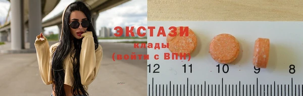индика Верхний Тагил