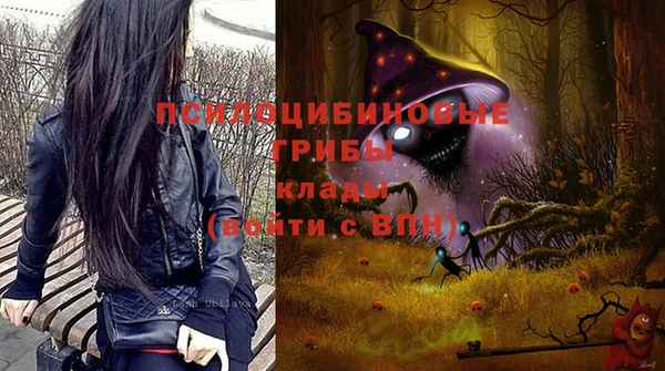 ПСИЛОЦИБИНОВЫЕ ГРИБЫ Волосово