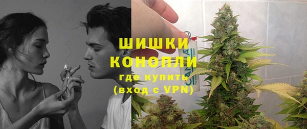 ПСИЛОЦИБИНОВЫЕ ГРИБЫ Волосово