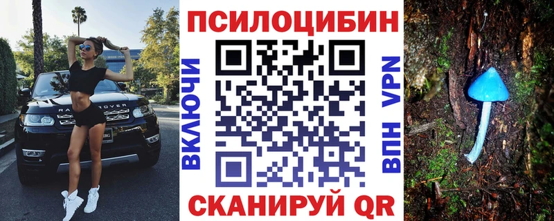 Псилоцибиновые грибы Magic Shrooms  Купить где  Лакинск 